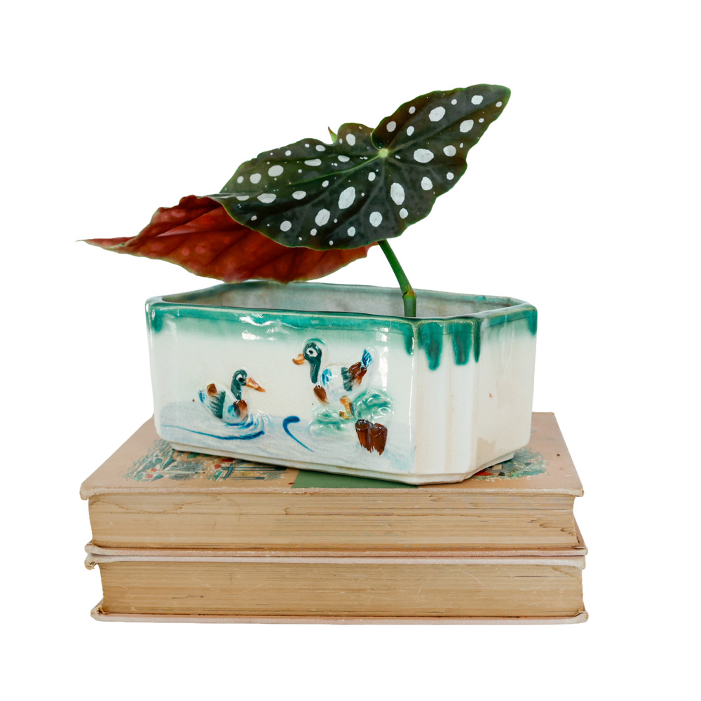 VTG 50s Japan Duck Bird Pond Planter 7" MCM Midcentury Retro Cottage Farmhouse